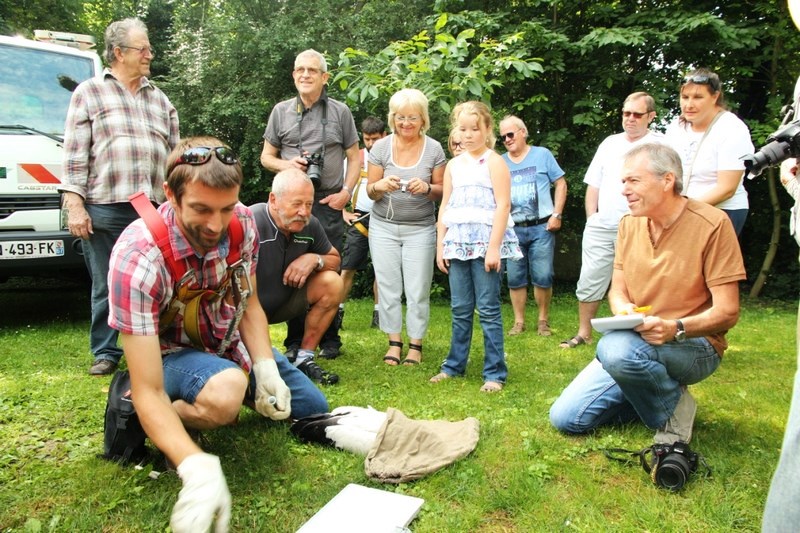 Baguage des Cigogneaux
