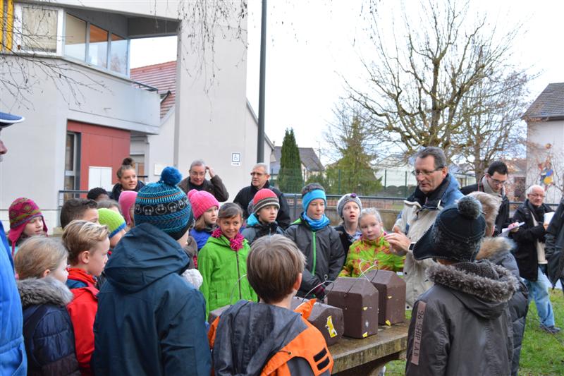 Nos actions avec les écoles