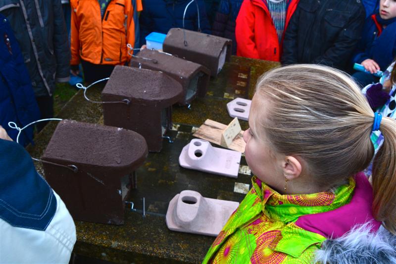 Nos actions avec les écoles