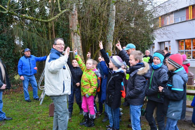 Nos actions avec les écoles