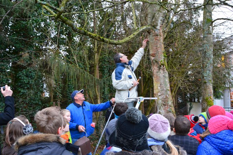 Nos actions avec les écoles