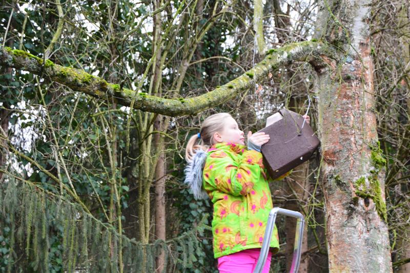Nos actions avec les écoles