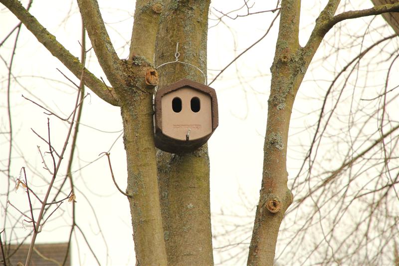 Nos actions avec les écoles