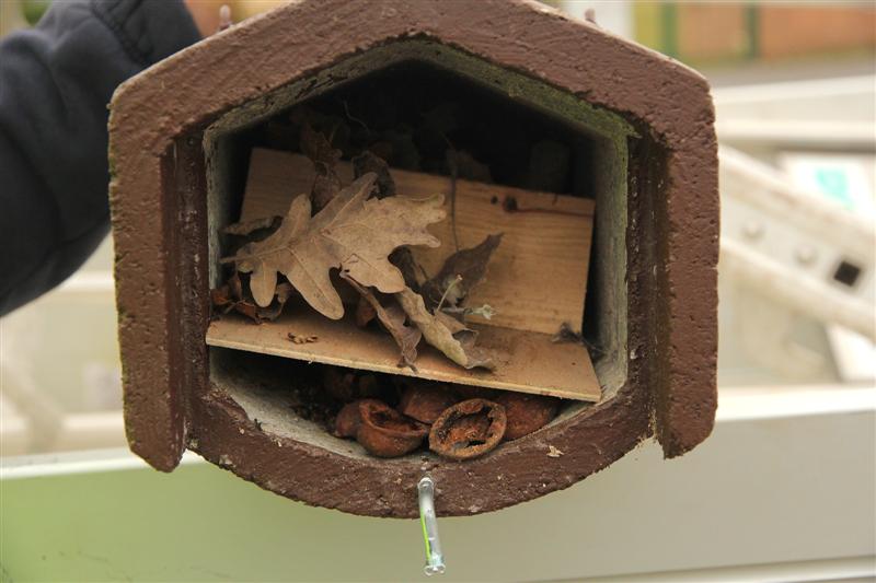 Nos actions avec les écoles