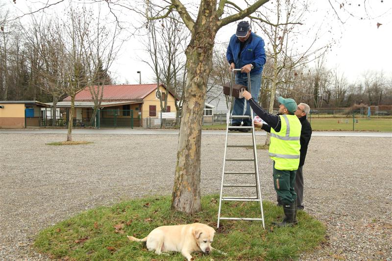 Nos actions avec les écoles