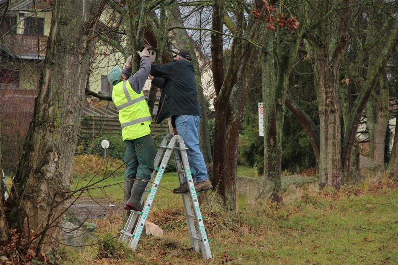 Nettoyage des nichoirs de la Trame verte Village-Neuf