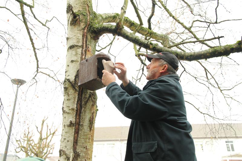 Nettoyage des nichoirs de la Trame verte Village-Neuf