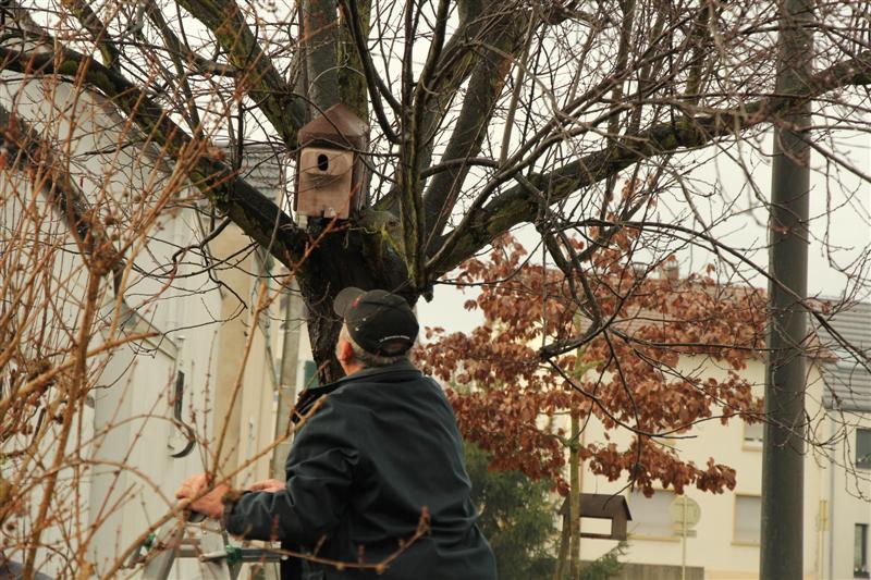 Nettoyage des nichoirs de la Trame verte Village-Neuf