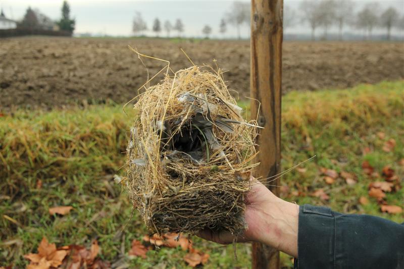 Nettoyage des nichoirs de la Trame verte Village-Neuf