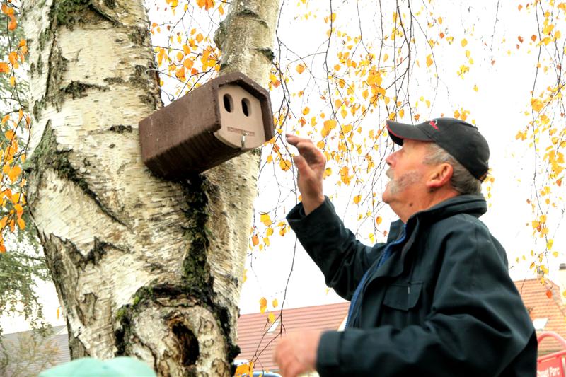 Nettoyage des nichoirs de la Trame verte Village-Neuf
