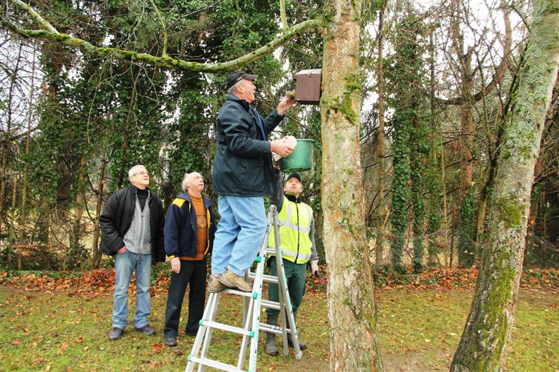 Nettoyage des nichoirs de la Trame verte Village-Neuf