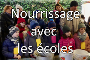 Nourrissage avec les écoles