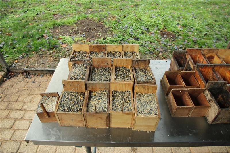 Pose des Mangeoires avant l'Hiver 