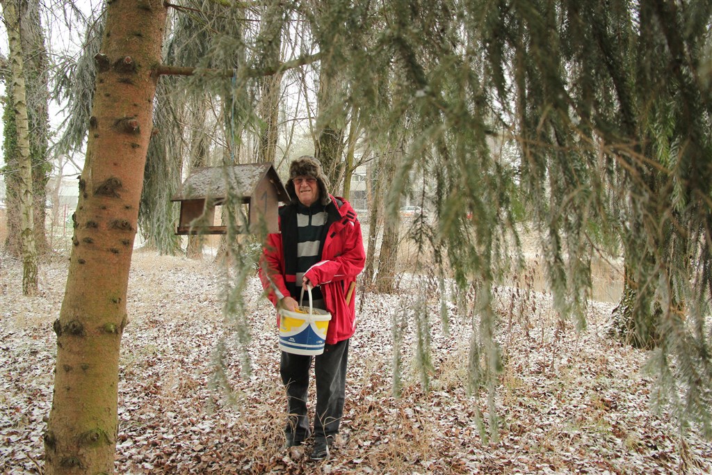 Pose des Mangeoires avant l'Hiver 