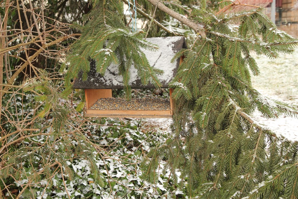 Pose des Mangeoires avant l'Hiver 