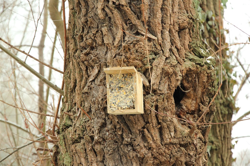 Pose des Mangeoires avant l'Hiver 
