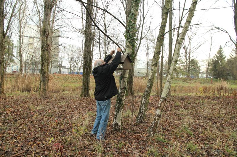 Pose des Mangeoires avant l'Hiver 