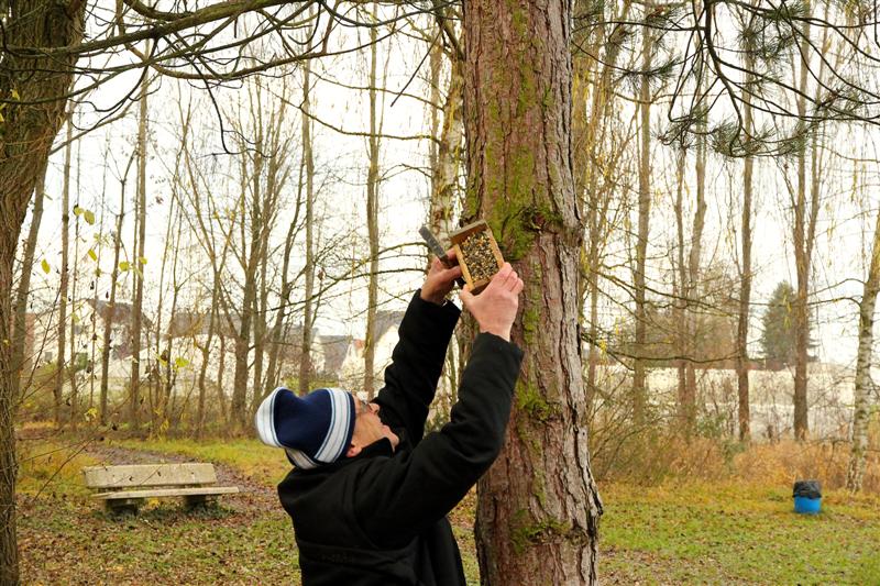 Pose des Mangeoires avant l'Hiver 