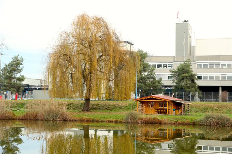 Pose des Mangeoires avant l'Hiver 