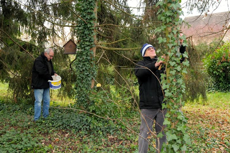 Pose des Mangeoires avant l'Hiver 