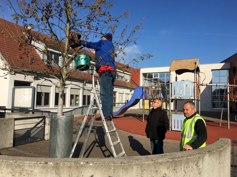 Trame Verte Village-Neuf 2017