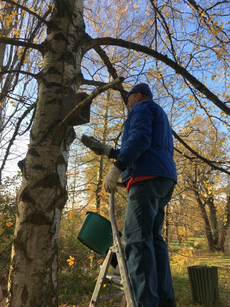 Trame Verte Village-Neuf 2017
