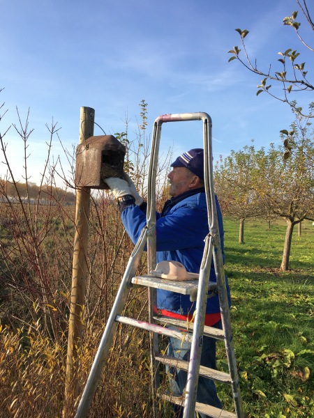 Trame Verte Village-Neuf 2017