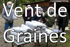 Vente de Graines