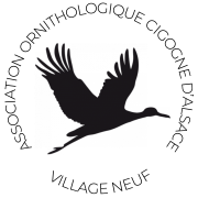 Cigogne d'Alsace Village-Neuf